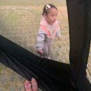 삼락생태공원 오토캠핑장 | 부산 아이랑 삼락생태공원 삼락오토캠핑장 이용 후기