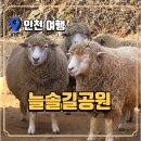 홍예공원 공중화장실 | 인천 양떼목장 늘솔길공원 방문 후기, 무료 주차 정보까지!