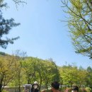 다목초등학교 이미지