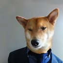 멋짐 Daum카페