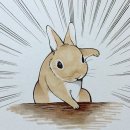 판교스타복싱 | 우승이요? 제가요? 직장인 풋살 대회 후기