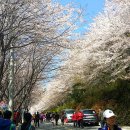 윤산 이미지