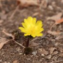 남산공원 일주로 이미지
