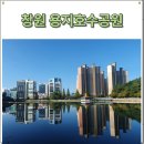 상업용지 앞 | 창원 용지호수공원 주차장 러닝 분수 가로수길 산책하기좋은곳