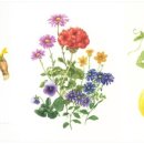 보태니컬 아트 전문가 이미지