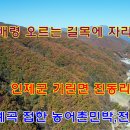 길목펜션민박 이미지