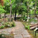 국립생태원 이미지