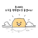 [학점은행제] 간호연구 및 통계 | [RN에서 APN으로] 2026년도 성균관대학교 임상간호대학원 합격 후기 2탄- 학업계획서 작성