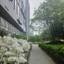 법원로R | 스타벅스 브루드 커피(별빛 블렌드) 후기] 스타벅스 문정법원로R점에서 패스트 서비스로 주문했어요~