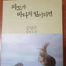 파도가 바다의 일이라면... 이미지