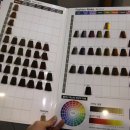 헤어퍼플 이미지