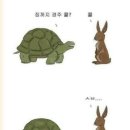 토끼와거북이 이미지