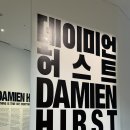 데미안 | 데미안 허스트 전시 관람 후기