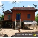 뉴 월드사 이미지