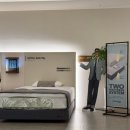 에이스침대둔산스퀘어 - 유성구 외삼로 3 | 대전 에이스침대 매트리스 구입 DUO TECH 3 내돈내산 후기