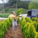 흥양농장 이미지