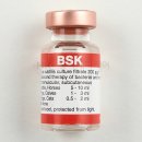 비에스케이(BSK) 이미지