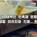 노점31