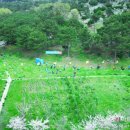 [포토] 부산남구, ㈜천호식품과 나무심기 행사 이미지