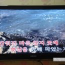 조약돌민박 이미지