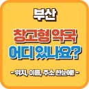 메가팜 | 부산 창고형 약국 어디에 있을까? 위치·이름·운영정보 정리