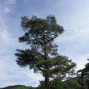 국악의 성지 이미지