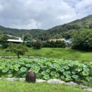 선비마을영농조합법인 이미지