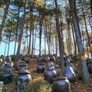 또와캠핑장 이미지