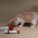 식산에너지 이미지