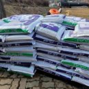 전정금농장 이미지