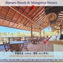코타키나발루 여행 추천! Borneo Beach &amp; Mangrove Resort 호텔 후기