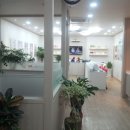 체형&채형 이미지