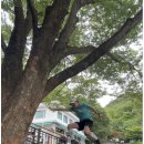 [평일 찬스] 인파 없는 북한산 백운대 최단코스 등산 후 뚝섬 한강수영장 투타임 완파 (feat. 한강 라면)
