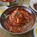 손영환비빔칼국수 | 국숫집인데 돈까스가 더 맛있는 손영환비빔국수칼국수 내돈내산 후기 feat. 화장실 정보 포함