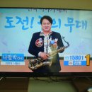 210217 “김명수 사퇴하라”… 대법원 앞 근조화환 일주일새 45→155개 이미지