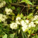 신안농장 이미지