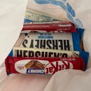 해오름상사 | 8월 월간 일상 (첫 커플링 종로투어💛, 망원동 빵 투어🍞, 렛미인 연극 후기🧛‍♀️, 여름휴가 즐기기🌴)