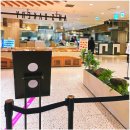 길주로 | 안스베이커리 두바이st 쫀득볼 버터떡 후기｜겉바속쫀 디저트 추천