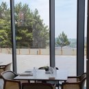 골드치킨 족발 | 제주 파르나스 호텔 콘페티 뷔페 평일 런치 후기! 중문 가성비 최고 호캉스 런치
