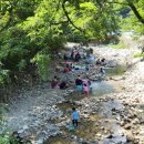 장안1교 이미지