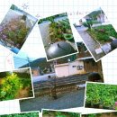 신천2리 이미지