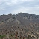 마니산 농원 이미지