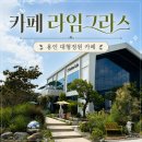 유리정원 | 용인 처인구 <카페 라임그라스> 대형 정원 카페 방문후기
