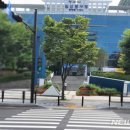 동구청 횡단보도 앞 이미지