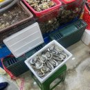 소정식당 | 가락시장 소정식당 다녀왔어요