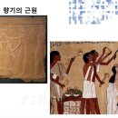 시흥매화고등학교