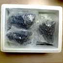 선진농원 이미지