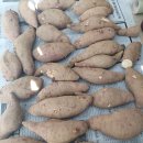 한얼농장 이미지