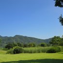 벌교파3골프연습장 이미지