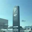 알마트 | 천안 아산 탕정 델리마트 오픈런 방문 후기